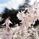 미선축산 이미지