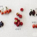 고와 이미지