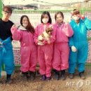 이상록농장 머니투데이