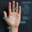 🔮🤖 『AI 운세 연구소 체험관』 손금·관상 분석에 AI 부적 로봇까지 등장한 특별한 체험 행사 후기