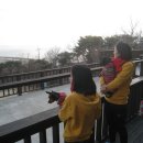 코코애견펜션 이미지