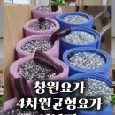 다모아202