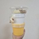 폴린 슬라임 4월 마켓 후기