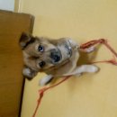 수원-2058 이미지