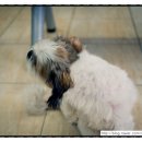 필립동물병원 이미지