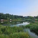 송라손맛터 이미지