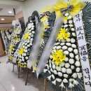 영동읍 대학로 충북 네이버블로그
