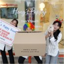 대주사료 애견샵 | 포항애견샵 반려견의 일상속 이야기