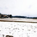 도락농장 이미지