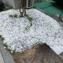 골재마트 이미지