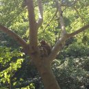 푸른어린이공원 공원화장실 이미지