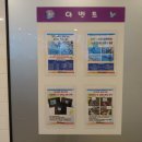 마린크루 이미지