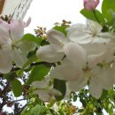 금정산성마을 이미지