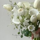 사파동103 이미지