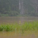 경기북부지역 폭우와 황강댐 방류로 필승교 수위 1m를 넘어서 이미지