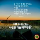 에코힐링 이미지