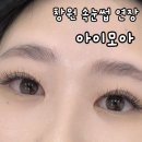 상남동227 이미지