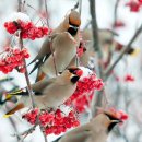 인제군남면보건지소 이미지