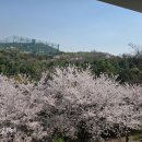 속초나드리 이미지