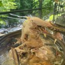 뽕나무펜션 이미지