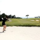 오션비치 이미지