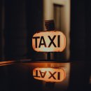 펫이동서비스 이미지