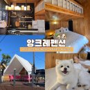 앙크레 | 제주 서귀포 애견 동반 독채펜션 추천 앙크레펜션 별둘 하우스, 여기 어때 쿠폰 사용으로 야무지게 힐링...