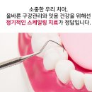 더아름다운치과