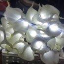 플라워PC방 이미지