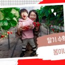 봄이네 농장 이미지