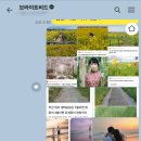 브라이트비드 이미지