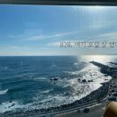 동해 828 오션뷰 스파펜션 | 동해 숙소 오션뷰 828 스파 펜션 B동 402호 이용 후기