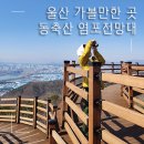 장생포119안전센터 화장실 | 울산 여행 동축산 염포 전망대 자동차로 편하게