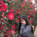 하천리-4 이미지