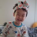 11월 2주차 딸기가 나왔다 드디어