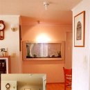 아쿠아수족관 이미지