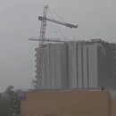 지브 티스토리