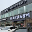 부산고양이미용&호텔 냥스타그램 | 부산 연산동 고양이 미용 잘하는 곳 쥬디캣 무마취 N번째 방문 후기