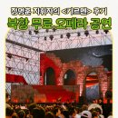 순진한 푸드 | view!여행] 북항친수공원에서 즐기는 야외 오페라 공연! 정명훈 지휘자의 카르멘 후기 | 부산 오페라하우스