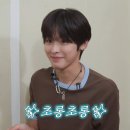 스타일좋개 | 250903-06, 뭐야 9월인데 개덥자나요 ㅡㅡ