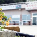 고령공화춘