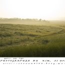 햇살목장 이미지