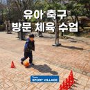 튼튼유아체육 | 유아 축구 개인 레슨, 방문 체육!