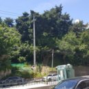 초당동-2 이미지