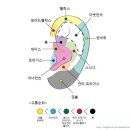 안녕;피어싱 - 평택시 평택2로10번길 10-3 | 안녕;피어싱