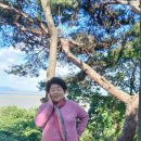 호계2동-2 이미지