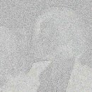 160006 이미지