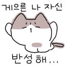 키터리 네이버블로그