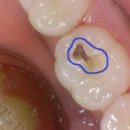 큰나무치과의원 이미지