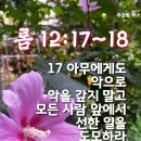 주님앞에제일교회 티스토리